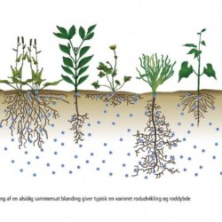 Natur Grngdning 0,5 kg ske DSV