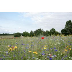 Natur Blomstereng 0,25 kg ske DSV