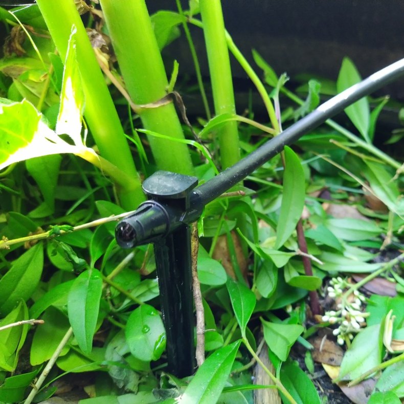 Dryp plk 6 mm TS-025 Rain Bird