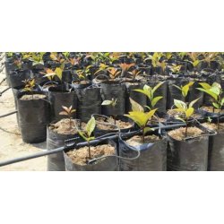 Drypst fra NaanDan. 1,3 L/t, 2 L/t eller 4 L/t. 