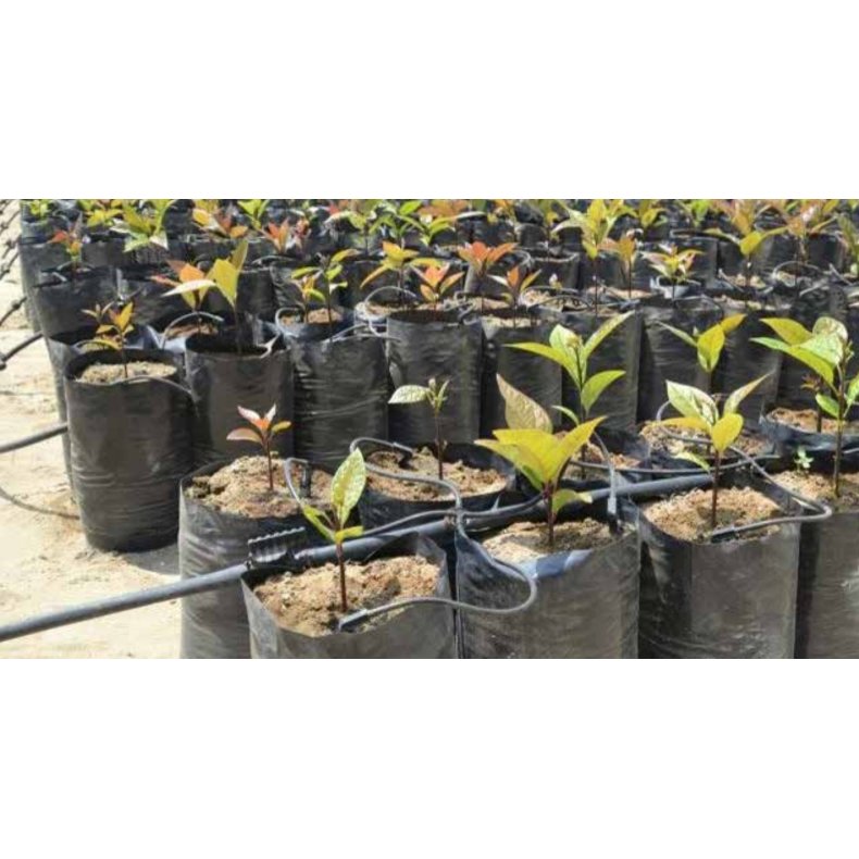 Drypst fra NaanDan. 1,3 L/t, 2 L/t eller 4 L/t. 