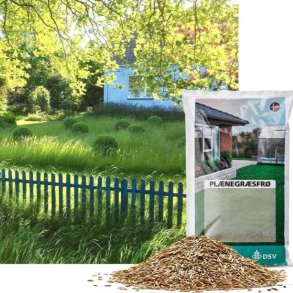 Njsom Svingel-Blanding, grsfr, 1 kg. DSV