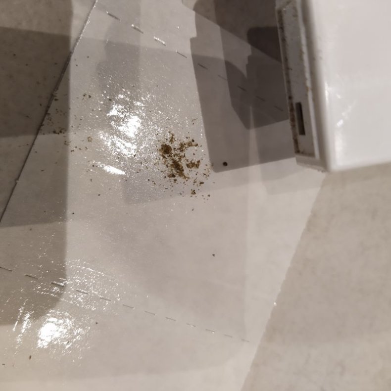 Skgkr-flde 9 stk. Med 5 g. Sirismel madding. Trinol 